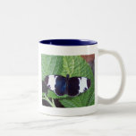 Beauté Mug À Café