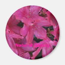 Beauté naturelle magnets pour réfrigérateur
