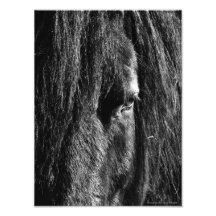 Beauté noire - élargissement de photo