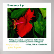 Beauté… Affiche