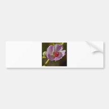 Beauté rose adhésif pour voiture