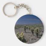 Beautés dans un désert porte-clef