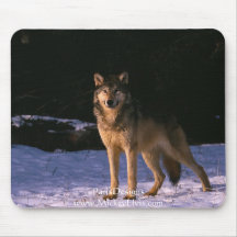 beaux animaux du sauvage tapis de souris