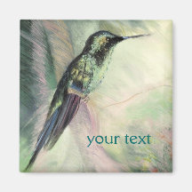 Beaux-arts de pastel de colibri magnets