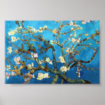 Beaux-arts se développants de l'arbre d'amande de  affiche