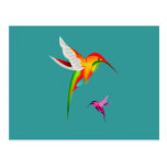 Beaux colibris (Colibri) Cartes Postales