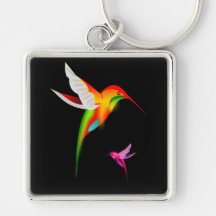 Beaux colibris, Colibri Keychain Porte-clé