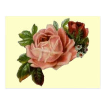 Beaux roses vintages cartes postales