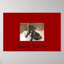 Bébé de boxeur ! posters