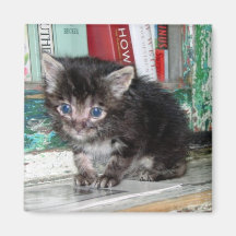 Bébé Kitty Magnets Pour Réfrigérateur