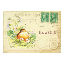 Bébé Robin avec la douche de fille de violettes Invitation Personnalisée
