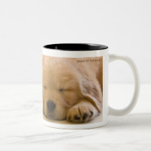 Bébés de golden retriever tasse