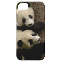 Bébés de panda géant (melanoleuca d'Ailuropoda) 2 Coque iPhone 5 Case-Mate