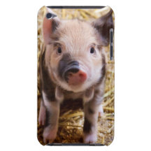 Bébés mignons de basse-cour d'animaux de ferme de  coque Case-Mate iPod touch