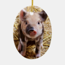 Bébés mignons de basse-cour d'animaux de ferme de  décoration pour sapin de noël