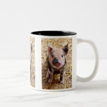 Bébés mignons de basse-cour d'animaux de ferme de  tasses