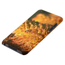 Bee iPod Touch Covers
