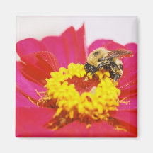 BeeOnGerber Magnets Pour Réfrigérateur