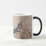 Beignet Mugs