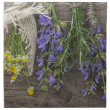 bel arrière - plan de fines herbes serviette