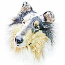 Bel art approximatif de chien de colley photos en relief