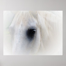 Bel oeil de cheval affiche