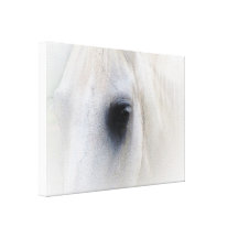 Bel oeil de cheval toile tendue