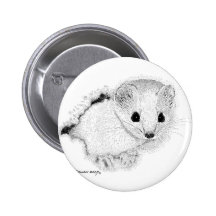 Belette Pin's Avec Agrafe