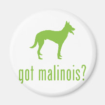 Belge Malinois Aimants Pour Réfrigérateur