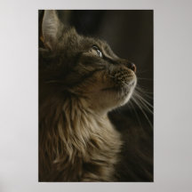 Belle affiche de chat