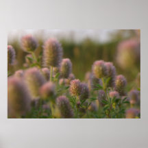 Belle affiche de mauvaises herbes