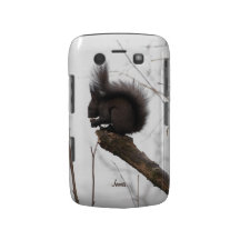 Belle caisse de Blackberry d'écureuil Coque Blackberry