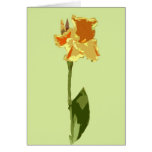 Belle carte de note florale