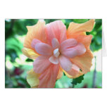Belle carte de Pâques rose, orange et jaune de ket