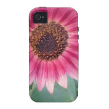 Belle fleur rose iPhone 4 case