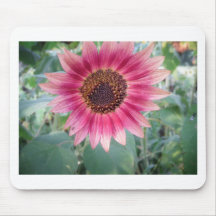 Belle fleur rose tapis de souris