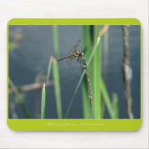 Belle nature : Libellule - Mousepad Tapis De Souris