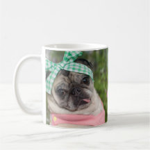 Belle tasse de carlin par des carlins et des baise