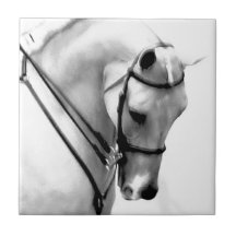 Belle tête de cheval blanc carreau