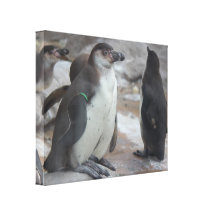 Belle toile de nature toile tendue sur châssis