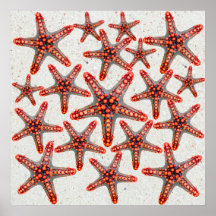 Belle vie marine rouge vibrante d'océan de sable d posters