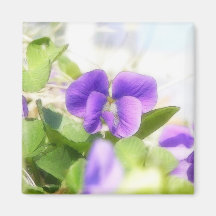 Belle violette de ressort aimants