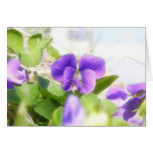 Belle violette de ressort cartes de vœux
