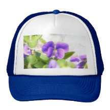 Belle violette de ressort casquette