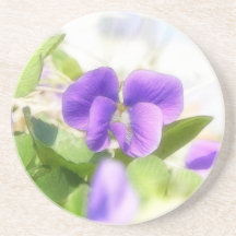 Belle violette de ressort dessous de verre