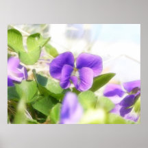 Belle violette de ressort affiche