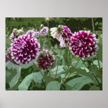 BELLES FLEURS 2 AFFICHES