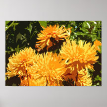 BELLES FLEURS 3 POSTERS