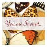Belles invitations de collection de papillon