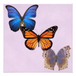 Belles invitations de papillon